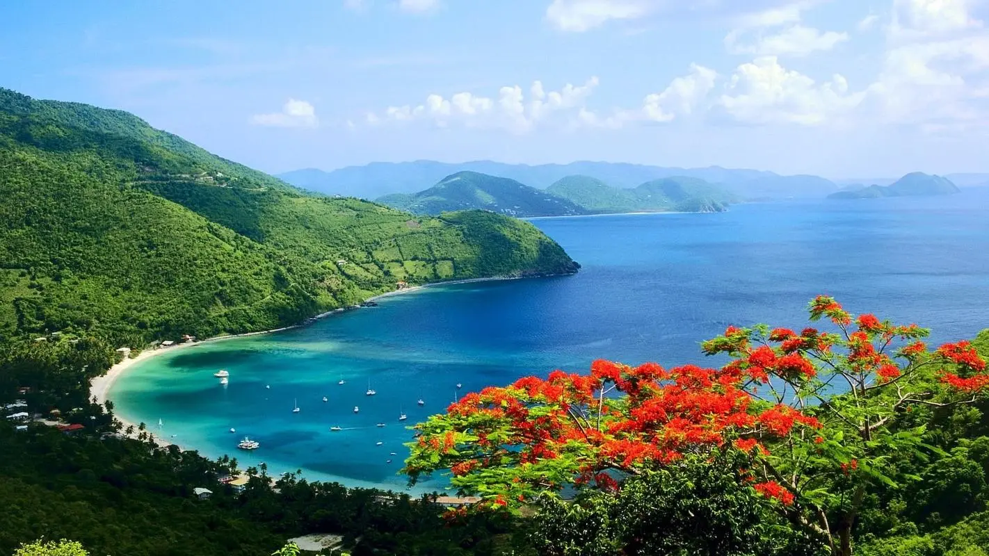 创意创意高标准